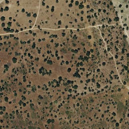 Satellite imagery of survey_point, PT