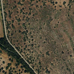Satellite imagery of survey_point, PT