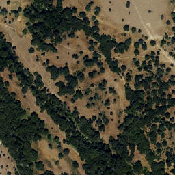 Satellite imagery of survey_point, PT