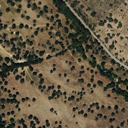 Satellite imagery of survey_point, PT