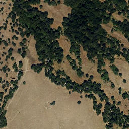 Satellite imagery of survey_point, PT