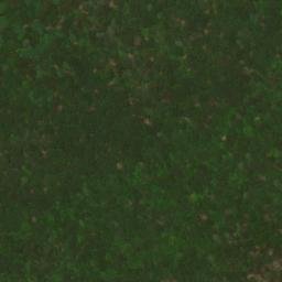 Satellite imagery of Red Ridge, US