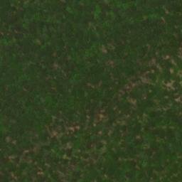 Satellite imagery of Red Ridge, US