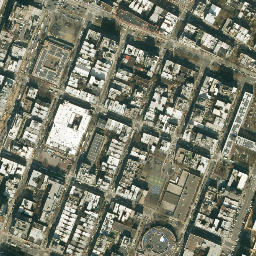 Satellite imagery of Manhattanville College (previously Academy of the Sacred Heart), US