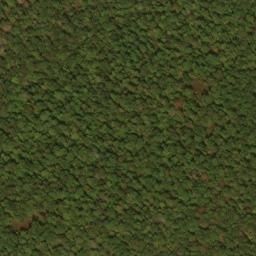 Satellite imagery of Brush Ridge, US