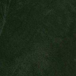 Satellite imagery of Droyers Point, US
