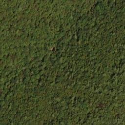Satellite imagery of Bell Ridge, US