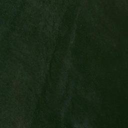 Satellite imagery of Droyers Point, US