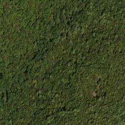 Satellite imagery of Bell Ridge, US