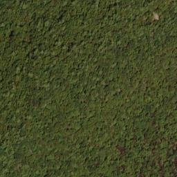 Satellite imagery of Bell Ridge, US