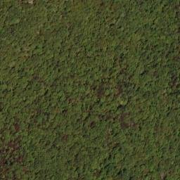 Satellite imagery of Bell Ridge, US