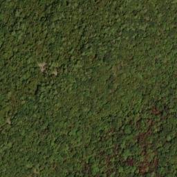 Satellite imagery of Bell Ridge, US