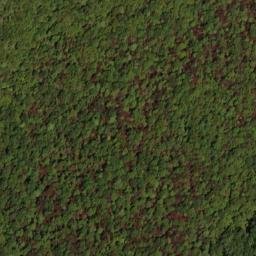 Satellite imagery of Bell Ridge, US