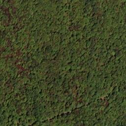 Satellite imagery of Bell Ridge, US