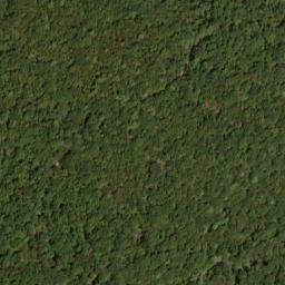 Satellite imagery of Gettis Ridge, US