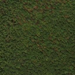 Satellite imagery of Buck Ridge, US