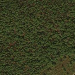 Satellite imagery of Buck Ridge, US