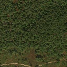 Satellite imagery of Buck Ridge, US