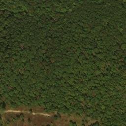 Satellite imagery of Buck Ridge, US