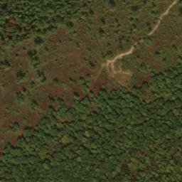 Satellite imagery of Buck Ridge, US