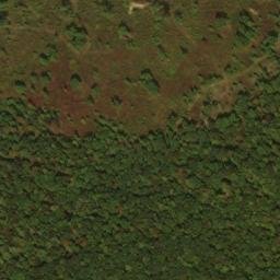 Satellite imagery of Buck Ridge, US