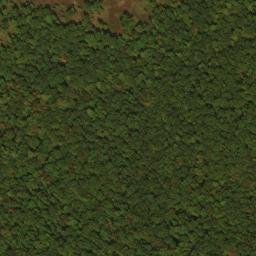 Satellite imagery of Buck Ridge, US