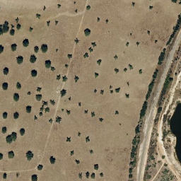 Satellite imagery of survey_point, PT