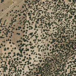 Satellite imagery of survey_point, PT