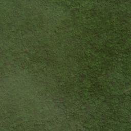 Satellite imagery of Leading Ridge, US