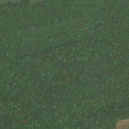 Satellite imagery of Fisher Ridge, US