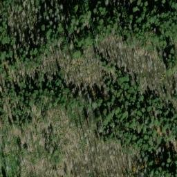 Satellite imagery of Delmont Ridge, US