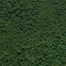 Satellite imagery of Shochary Ridge, US