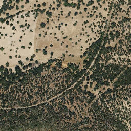 Satellite imagery of survey_point, PT
