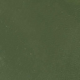 Satellite imagery of Ducksberry Point, US