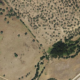 Satellite imagery of survey_point, PT