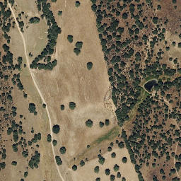 Satellite imagery of survey_point, PT