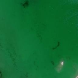 Satellite imagery of Pelican Point, US