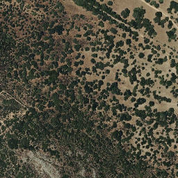 Satellite imagery of survey_point, PT
