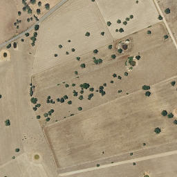 Satellite imagery of survey_point, PT