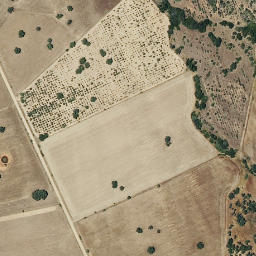 Satellite imagery of survey_point, PT