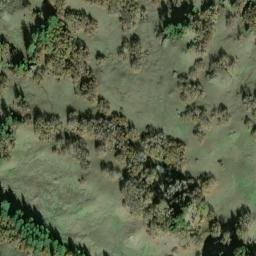 Satellite imagery of McAlvey Ridge, US