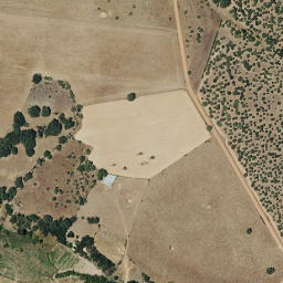Satellite imagery of survey_point, PT