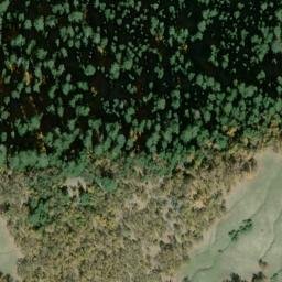 Satellite imagery of Windy Ridge, US