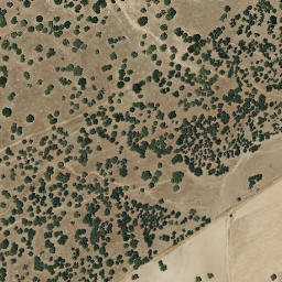 Satellite imagery of survey_point, PT