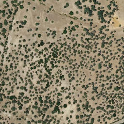 Satellite imagery of survey_point, PT