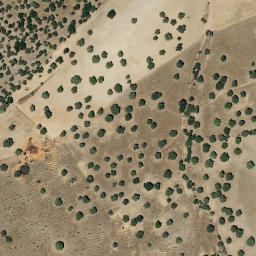 Satellite imagery of survey_point, PT