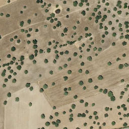 Satellite imagery of survey_point, PT