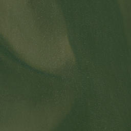 Satellite imagery of Green Point, US