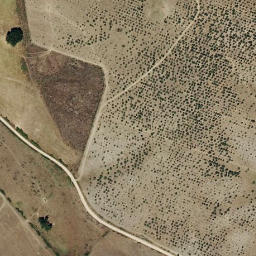 Satellite imagery of survey_point, ES