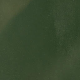 Satellite imagery of Green Point, US